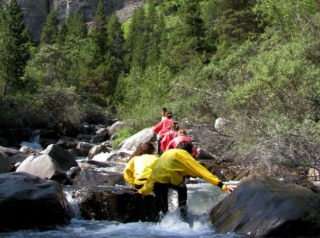  divertida camicrema acuática 